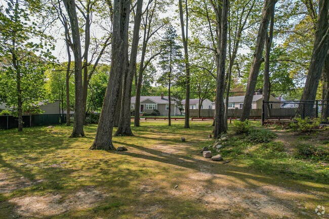 Trees and green space in Paul Park in Greenlodge.