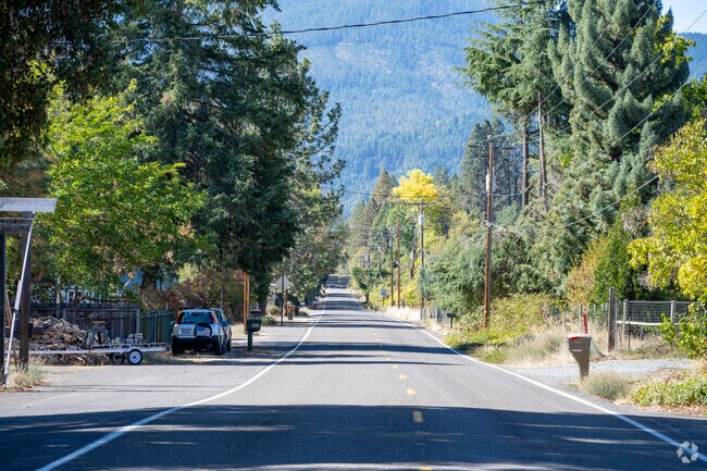 Large rose, lined with trees can be found in the Wimer neighborhood.