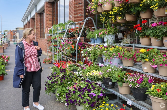 Beautiful flowers adorn the entrance of Whole Foods in Vinnin Square, greeting shoppers with vibrant colors.