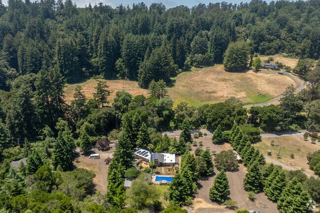 Discover innovative learning at Magic Apple School.