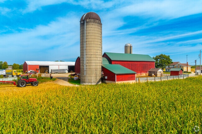 A silo rises over cornfields near active farms in New Munster.