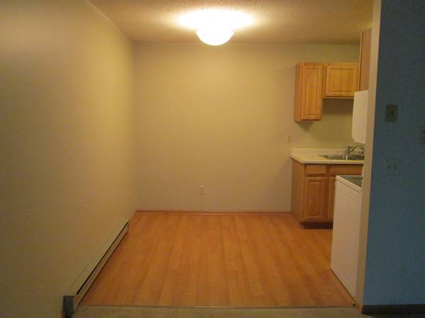 14115 Pennock Ave unit 306, Saint Paul, MN 55124 - photo 4