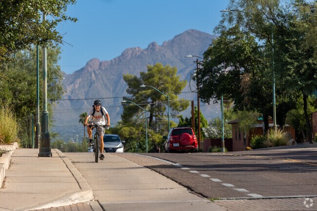 Bike lanes help guide students safely to the UA Campus near Feldman's.