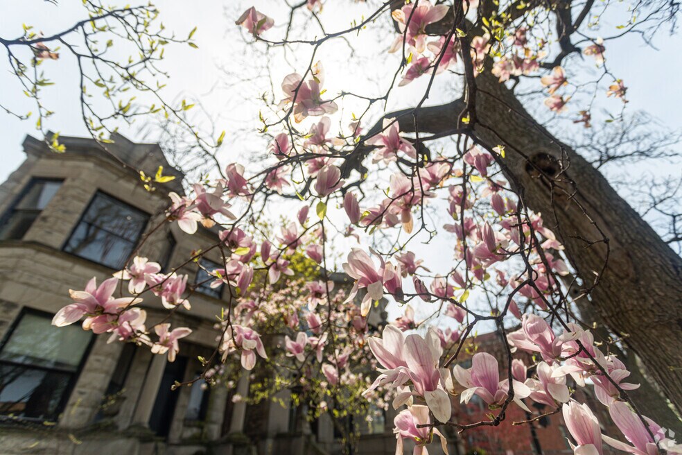 Maternity BVM Elementary School, Chicago IL Rankings & Reviews