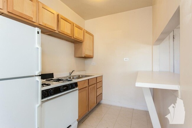 1100 W George St unit 205, Chicago, IL 60657 - photo 5