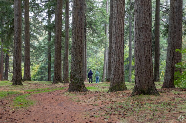 Beautiful trails wind through the trees at Albert Kelly Park on SW Mitchell St in Bridlemile.