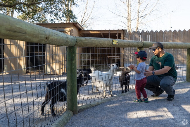 Visitors to the Gulf Breeze Zoo near Midway Santa Rosa can interact with many animals.