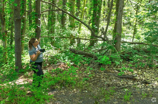 Enjoy a beautiful hike through Groveland’s Crane Pond Wildlife Management Area, where nature photographers are drawn to the scenic trails and abundant wildlife.
