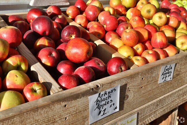 Piedmont buys NC apples certified at the Happy Cow.