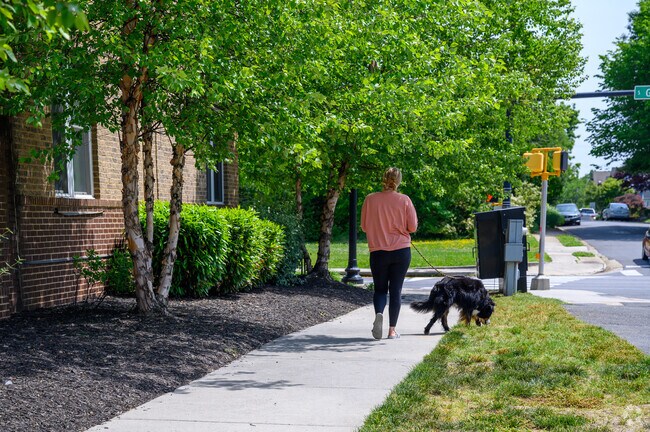 Claremont is a dog-friendly neighborhood in Arlington, Virginia.