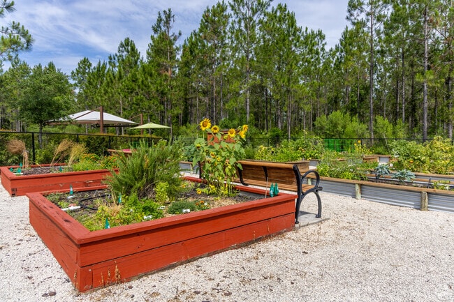 Snag a plot and grow your own food at the community garden in Shearwater.