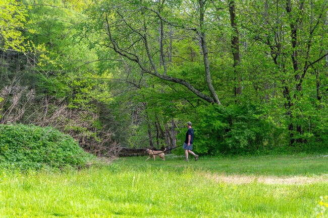 River Road Preserve is a beautiful place for a hike in Roxbury.