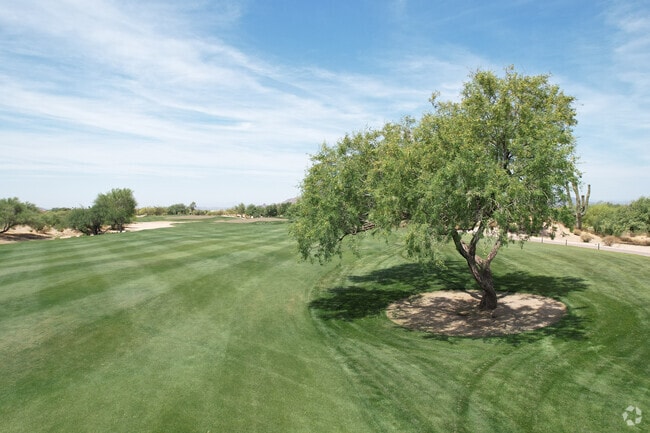 Golfers play on cool-season grasses year round at Desert Mountain Renegade in Pinnacle Peak.