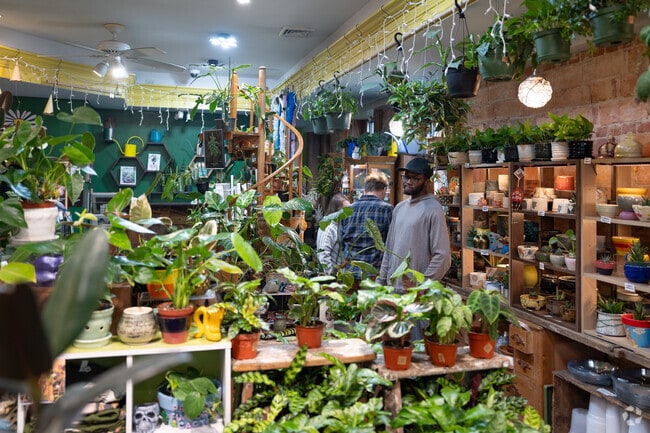 Put A Plant On It near Cold Springs offers houseplant sitting.