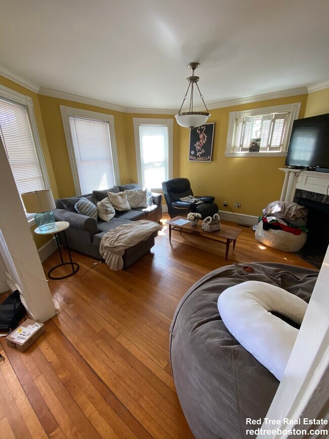22 Burton St unit 1, Brighton, MA 02135 - photo 2