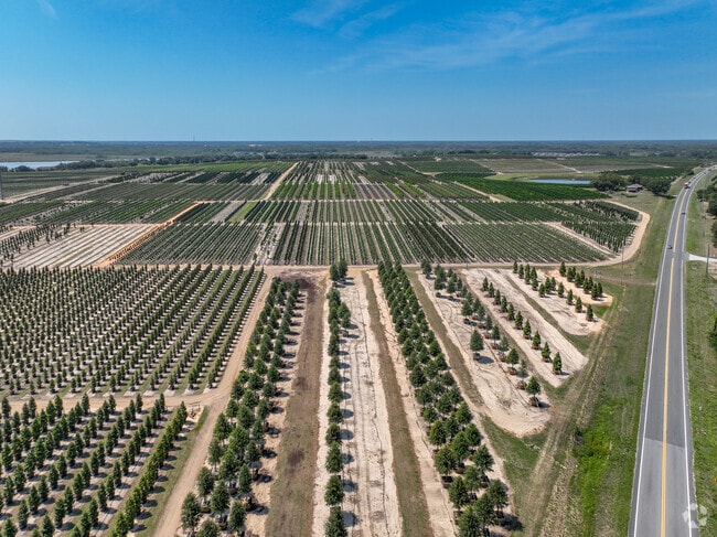 On Top Of Beautiful Homes, Groveland Also Has Plenty of Green Space and Farms Across It's Landscape