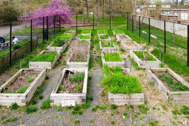 A small community garden located across 61st St NE from Marvin Gaye Park.