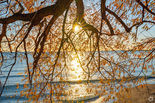 Come from Forest Park for a gorgeous sunrise while taking in the fresh air along Lake Michigan.