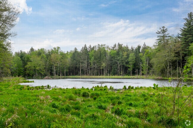 Tolland is a large forest town with many ponds and lakes for recreation.