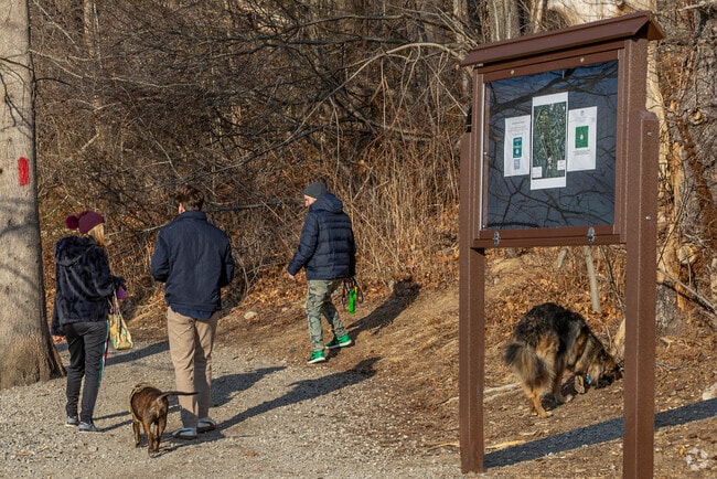Take in nature's beauty at Lake Mohegan's peaceful hiking trails.