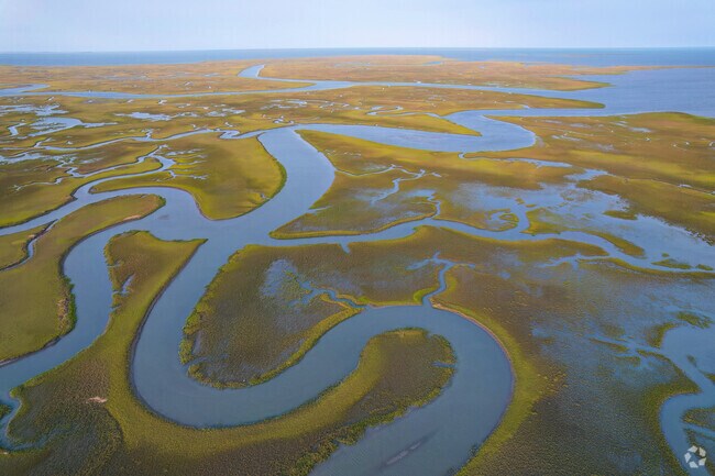 Machipongo borders tributaries and thousands of acres of tidal marshland.