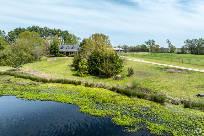 Discover spacious homes on large acreage lots in Mount Pleasant, offering privacy, tranquility, and stunning views.