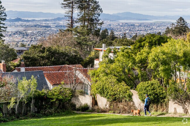 Berkeley Hills has amazing views of San Francisco.