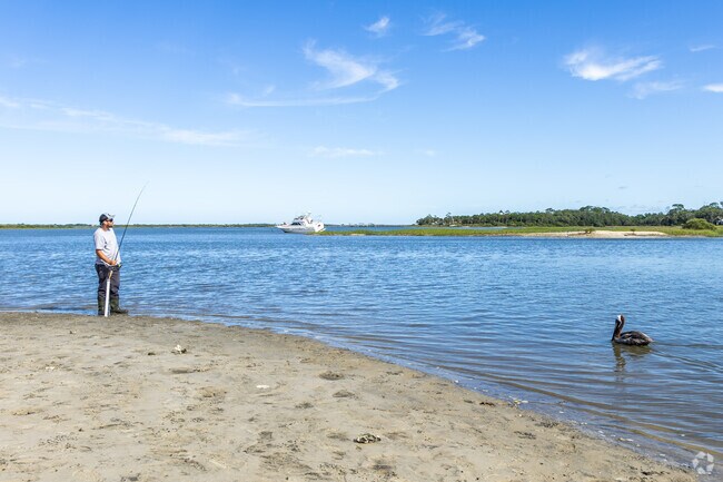 Cast out with the wildlife in St Augustine Shores.