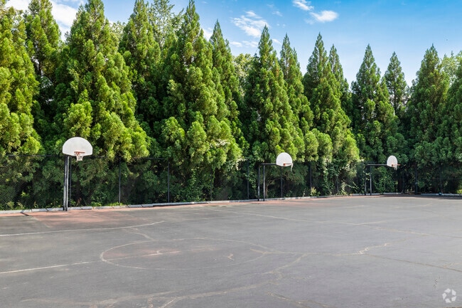 Basketball courts are at Great Falls Elementary School in Great Falls.