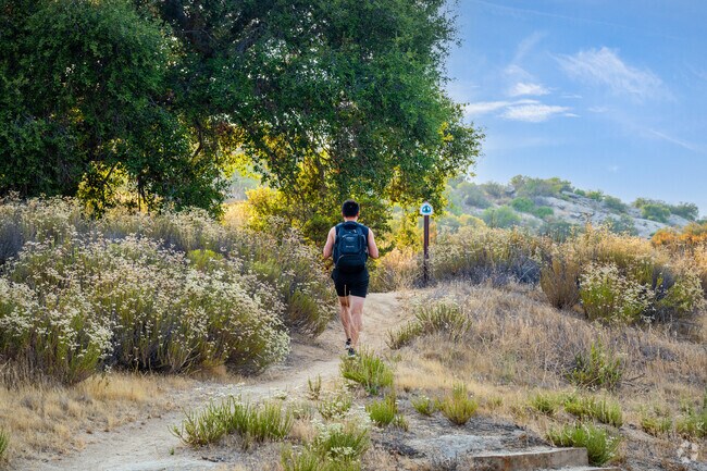Go for a hike on the Pacific Crest Trail, located at Lake Morena County Park.