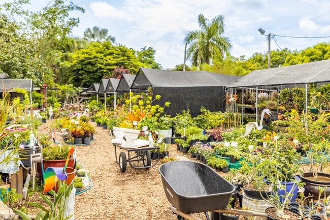 Visit Tropic Plants to build your dream garden in Heathgate.
