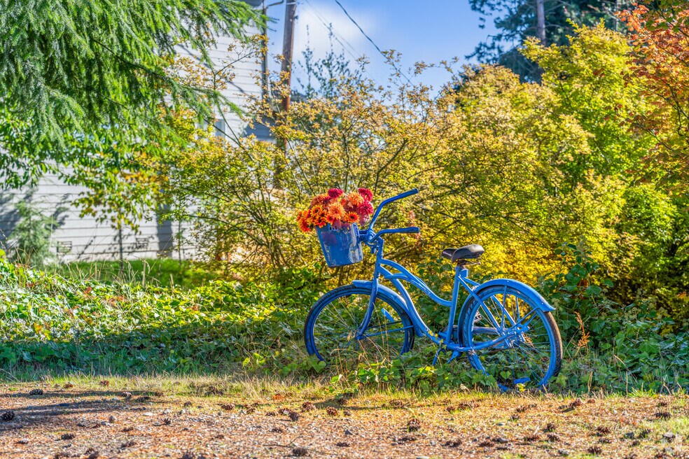 FInal_NH_Shelby_543883_P1_V3_DC_03042024