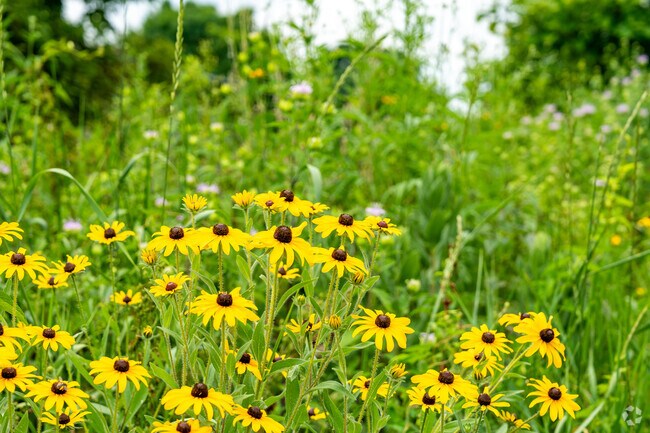 Sawmill State Wildlife Education Area near Brookside Colony is a beautiful place for a walk.