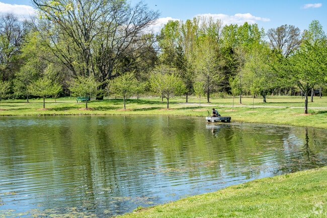 People Fishing in the Pond at the Jim Warren Park in Downtown Franklin Neighborhood