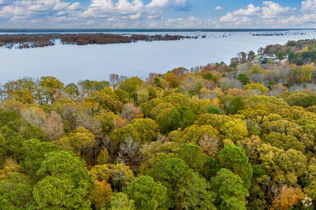 Lake Marion borders Cameron to the East.