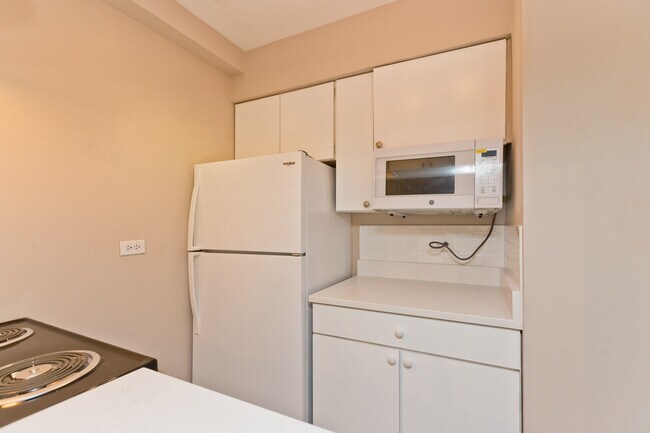 3732 N Pine Grove Ave unit 1A, Chicago, IL 60613 - photo 4
