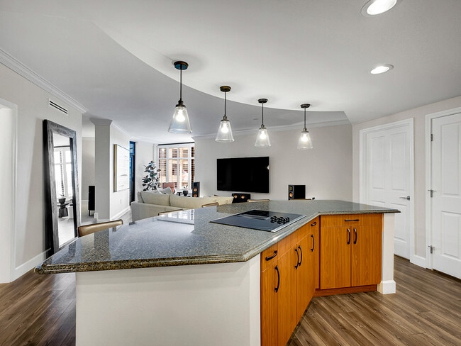 Penterra Plaza unit 201, Denver, CO 80237 - photo 2