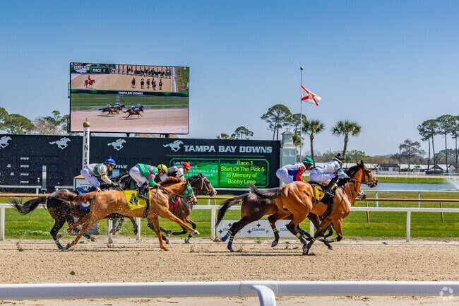 Tampa Bay Downs in Oldsmar is a world class horse track with a Derby qualifier.