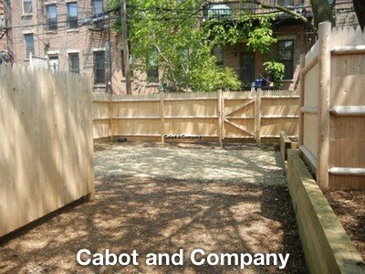 614 Massachusetts Ave unit 1, Boston, MA 02118 - photo 7