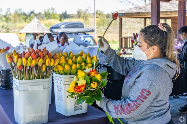 The Larsen Lake Blueberry Farm sells fresh-cut flowers in Lake Hills.