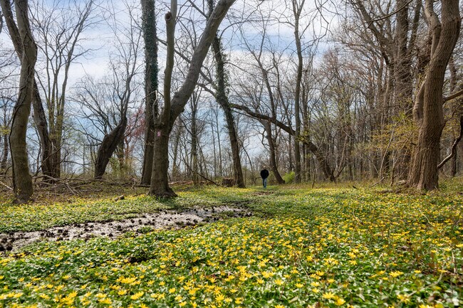 The Davis Wildlife Refuge, a popular birding spot, connects to the 2,200-acre Freshkills Park.