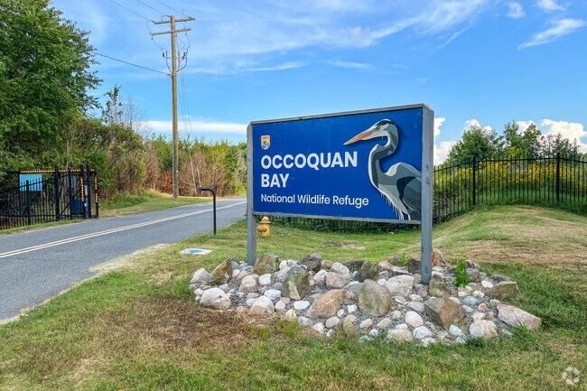 Immerse yourself in nature at Occoquan Bay National Wildlife Refuge in Belmont Bay.