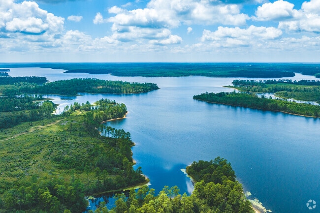 Big Creek Lake is a large lake near Rothfield that offers fishing.