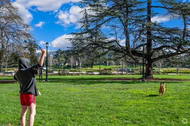 Snow Park has plenty of space to play ball with your furry friends.