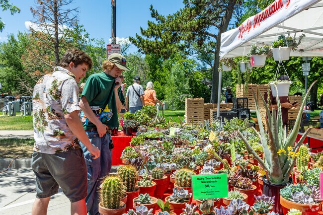 Pick up some succulents from the Boulder Farmer's Market in Downtown.