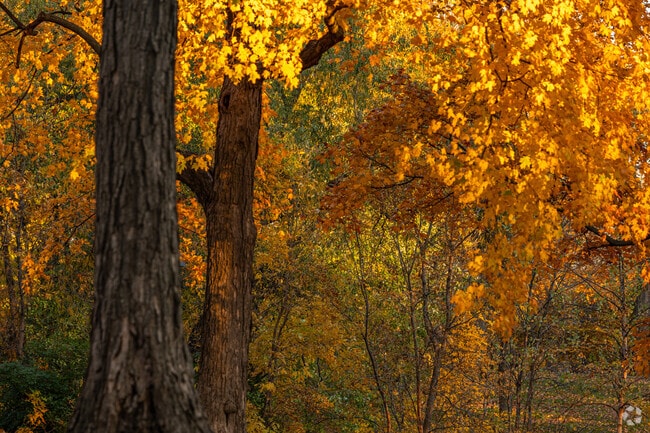 Willow Metropark in Huron Township dazzles in every season.