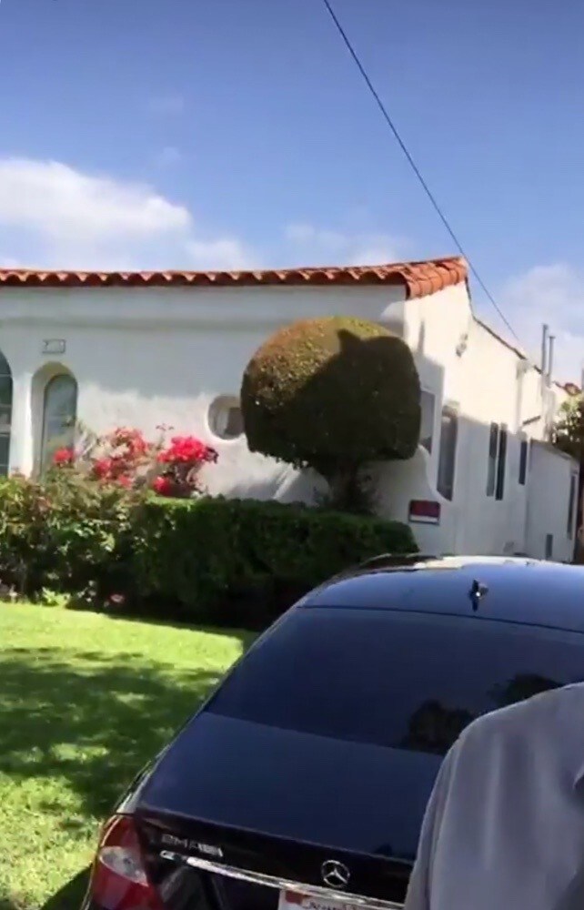 1117 E California Ave, Glendale, CA 91206