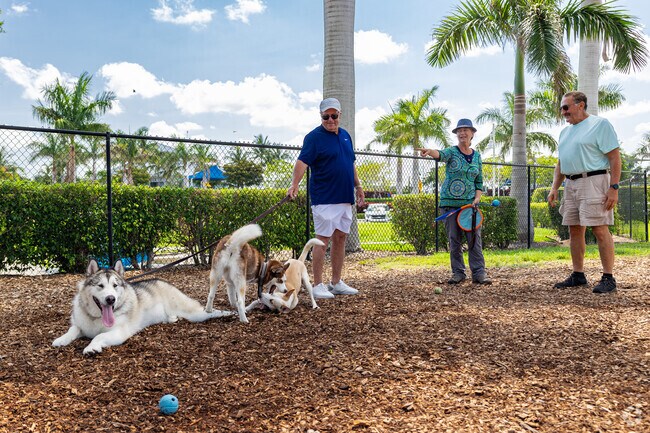 Downtown Naples residents can have lots of fun with their dogs at Naples Dog Park.