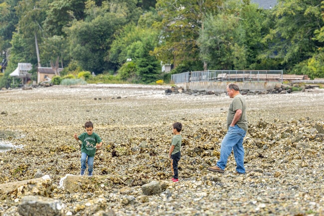 There is plenty of nature for residents to enjoy throughout Seabeck.