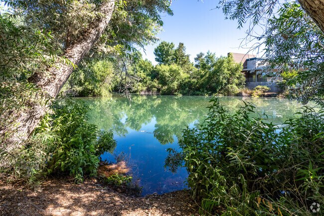 Enjoy the serene surroundings at Chino Creek Wetlands and Educational Park in College Park.